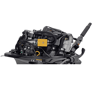 Мотор Parsun (4-х тактный) F9.9ABMS-EFI PRO 9.9 л/с