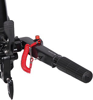 Мотор MARLIN (2-т) MP 9.9 AMHS