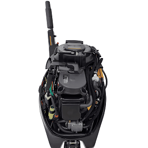 Мотор Parsun (4-х тактный) F9.9ABMS-EFI PRO 9.9 л/с